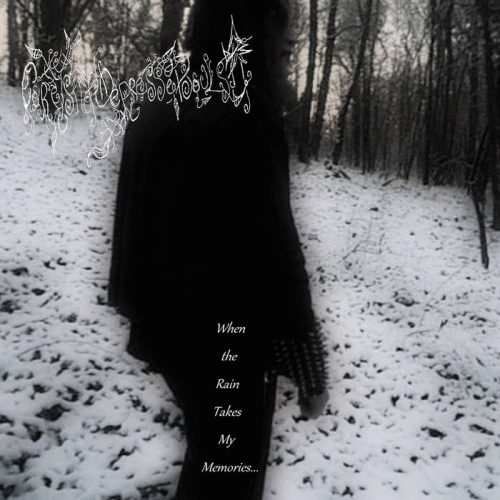 Forest Of Depressed Souls : When the Rain Takes My Memories​.​.​.